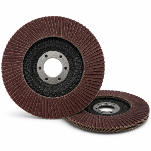 Disco Lixa Flap